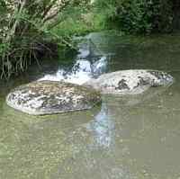 Fontaine Saint Gré 1