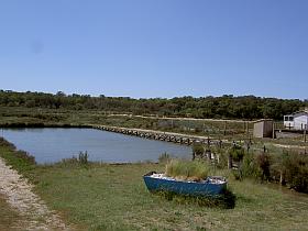 Altes Klärbecken Altes Klärbecken